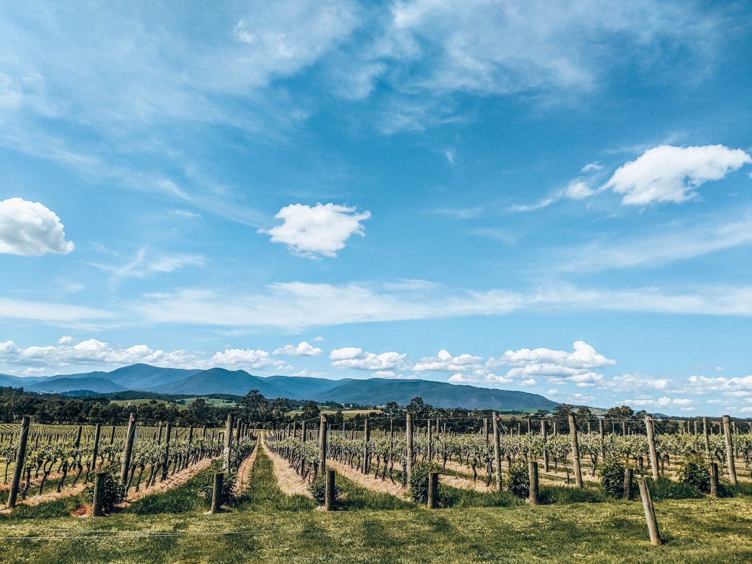 How To Plan The Perfect Yarra Valley Day Trip | Faramagan